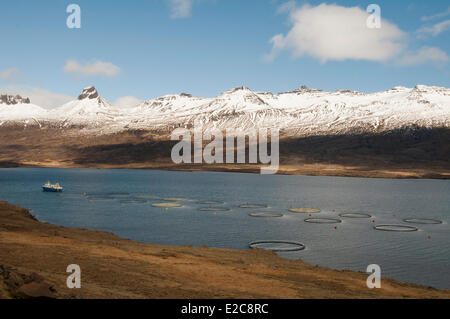 L'Islande, région de l'Austurland, Côte Atlantique, à l'enduire, fjord Berufjordur Banque D'Images