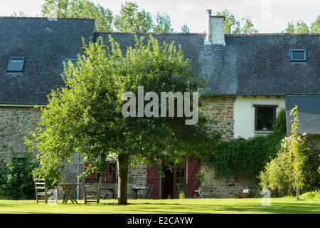 La France, de l'Ille et Vilaine, La Chapelle Chaussee, le jardin de l'accomodation de le Manoir d'alleu Banque D'Images