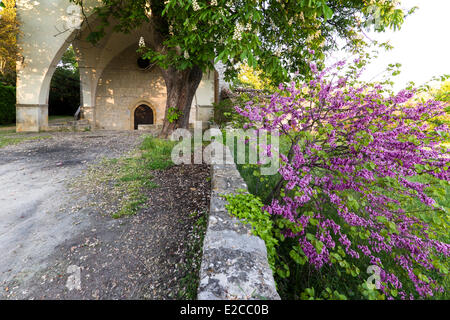 France, Seillans, Var, étiqueté Les Plus Beaux Villages de France (Les Plus Beaux Villages de France), chapelle Notre Dame de Banque D'Images