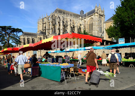 France, Sarthe, Le Mans, Cité Plantagenêt (vieille ville), le jour du marché en face de la cathédrale Saint Julien Banque D'Images