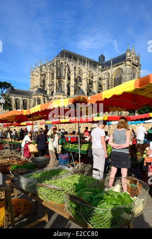 France, Sarthe, Le Mans, Cité Plantagenêt (vieille ville), le jour du marché en face de la cathédrale Saint Julien Banque D'Images