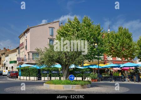 France, Herault, Villeneuve les Beziers, Place Michel Solans, olivier planté au milieu d'un rond-point Banque D'Images