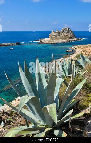 L'Italie, la Sicile, les îles Egadi, l'île de Levanzo, sisal sur chemin côtier donnant sur la mer de l'île avec en arrière-plan Borgo Italia 77 Banque D'Images