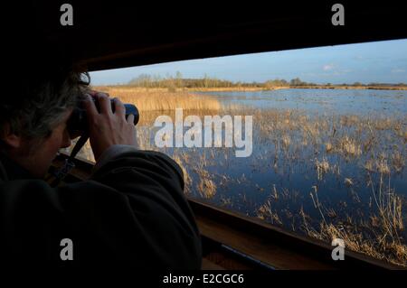 France, Indre, Berry, Parc Naturel Régional de la Brenne (Parc Naturel Régional de La Brenne), la touche étang, observatoire construit par le parc et par la Ligue pour la protection des oiseaux, l'observation des oiseaux hut Banque D'Images