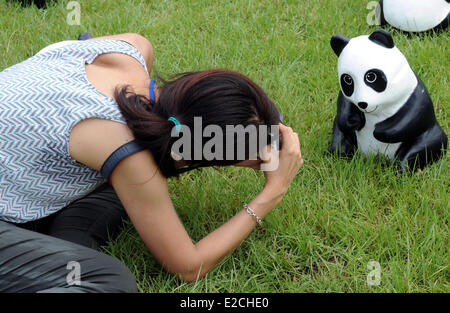 Hong Kong, Chine, Hong Kong. 19 Juin, 2014. Un journaliste prend photo d'un panda affiché lors d'une exposition au Victoria Park, du sud de la Chine, Hong Kong, le 19 juin 2014. Un total de 1 600 pandas en papier ont été affichées ici le 19 juin, qui étaient l'œuvre de l'artiste française Paulo Grangeon. Credit : Lo Fai Ping/Xinhua/Alamy Live News Banque D'Images