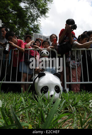 Hong Kong, Chine, Hong Kong. 19 Juin, 2014. Les gens prendre photo d'un panda affiché lors d'une exposition au Victoria Park, du sud de la Chine, Hong Kong, le 19 juin 2014. Un total de 1 600 pandas en papier ont été affichées ici le 19 juin, qui étaient l'œuvre de l'artiste française Paulo Grangeon. Credit : Lo Fai Ping/Xinhua/Alamy Live News Banque D'Images