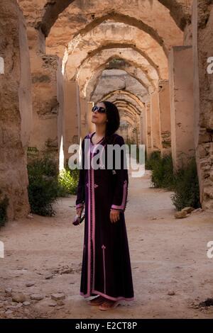 Maroc Meknes Tafilalt région, ville historique de Meknès inscrite au Patrimoine Mondial de l'UNESCO Les Grenieres Medina Banque D'Images