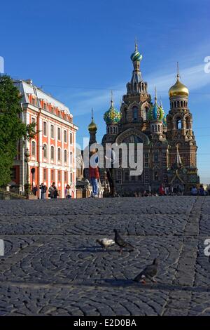 Russie Saint Petersbourg inscrite au Patrimoine Mondial de l'UNESCO de l'Église Orthodoxe Centre du Sauveur sur le Sang Versé (Khram Spasa Banque D'Images
