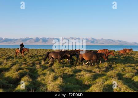 Province de Naryn Kirghizistan shepperd montant un cheval à la tête d'un troupeau de chevaux sur les pâturages de montagne à Song-Kol lake state Banque D'Images