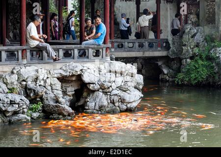 Chine Shanghai Yu Garden ou le jardin Yuyuan Koi Cyprinus carpio haematopterus personne l'alimentation et de toucher les poissons Banque D'Images