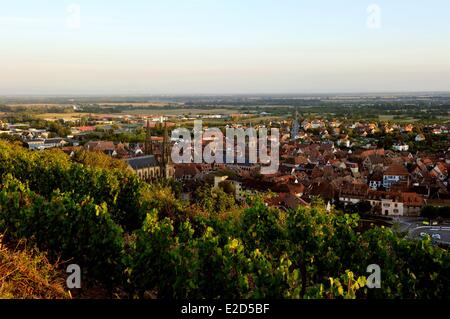 France Bas Rhin Obernai vue générale Banque D'Images