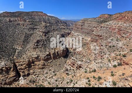 United States Utah Colorado Plateau Capitol Reef National Park la Fremont river canyon Banque D'Images