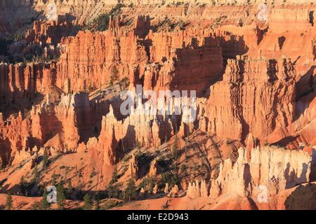 United States Utah Colorado Plateau Parc National de Bryce Canyon à l'intérieur de cheminées de Bryce Canyon amphitheater au lever du soleil du lever Banque D'Images