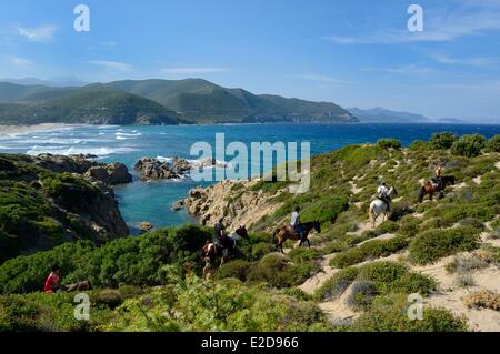 France, Haute Corse, Nebbio, Désert des Agriates, Peraiola Cove, cavaliers sur la plage est de l'Ostriconi Banque D'Images