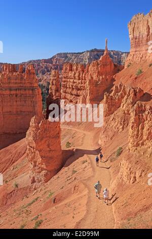 United States Utah Colorado Plateau Bryce Canyon National Park les randonneurs sur le Queen's Garden Trail Banque D'Images