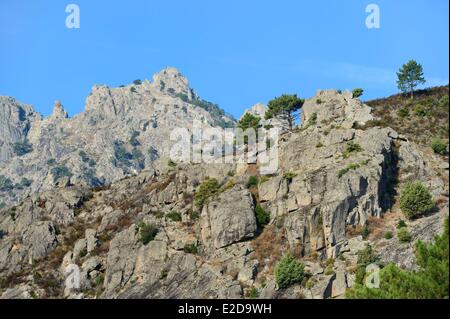 France, Haute Corse, Corte, la vallée de la Restonica Banque D'Images