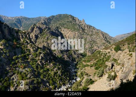 France, Haute Corse, Niolu (Niolo) région, la gorge rocheuse de la Scala di Santa Regina et la rivière Golo Banque D'Images