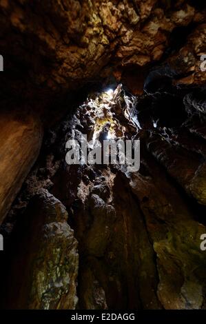 Forêt de Brocéliande Morbihan France Guillotin's Oak est un chêne creux plus de 1000 ans à l'intérieur de l'arbre Banque D'Images