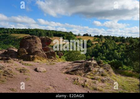 France Morbihan forêt de Brocéliande Trehorenteuc heath dans le Val sans retour (Val sans retour) Banque D'Images