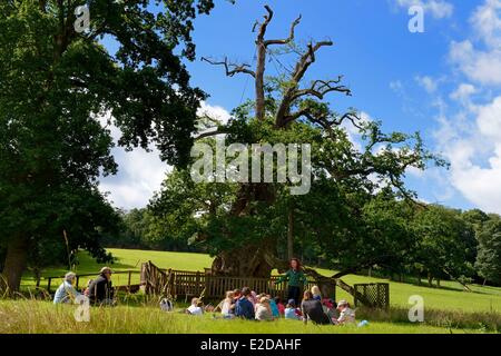 Forêt de Brocéliande Morbihan France Guillotin's Oak est un chêne creux plus de 1000 ans un guide et les étudiants lors d'un voyage scolaire Banque D'Images