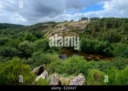 France Morbihan Forêt Brocéliande Trehorenteuc La Mare aux Fées (la fée) Étang du Val sans retour (Val sans retour) Banque D'Images