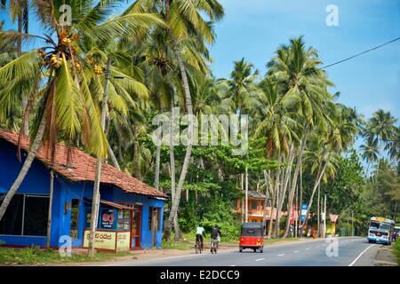 Sri Lanka, Province de l'Ouest, district de Kalutara, Bentota, Route de Galle, blue house sous les cocotiers avec un tricycle de livraison Banque D'Images