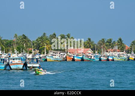 Sri Lanka, Province de l'Ouest, district de Gampaha, Negombo, port de pêche, chalutiers colorés en bois sur un lagoon côte à côte avec des cocotiers en arrière-plan Banque D'Images