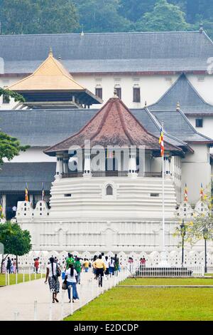 Sri Lanka, province, district de Kandy, Kandy, ville sacrée de Kandy inscrite au Patrimoine Mondial de l'UNESCO, le Temple du Bouddha. Banque D'Images