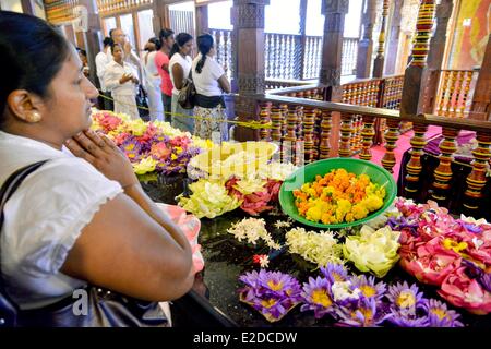 Sri Lanka, province, district de Kandy, Kandy, ville sacrée de Kandy inscrite au Patrimoine Mondial de l'UNESCO, Temple Dalada Maligawa, Pilgrim apportant des offrandes pour la cérémonie de la dent du Bouddha Banque D'Images