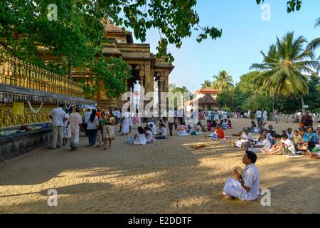 Sri Lanka Western Province District de Colombo Kelaniya Kelaniya Raja Maha Vihara bouddhiste du temple l'homme priant devant le Banque D'Images