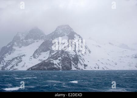 L'île de Géorgie du Sud Antarctique Elsehul Banque D'Images