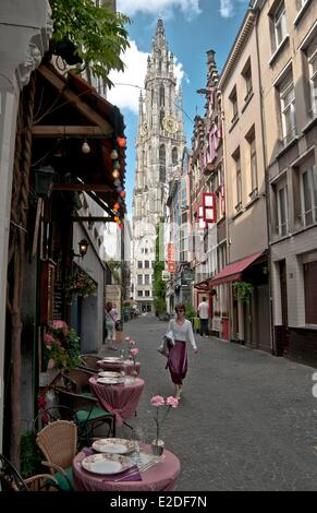 Belgique Flandre Anvers autour de la cathédrale la tour haute de 123m un carillon de cloches 147 14e et 16e siècle Banque D'Images