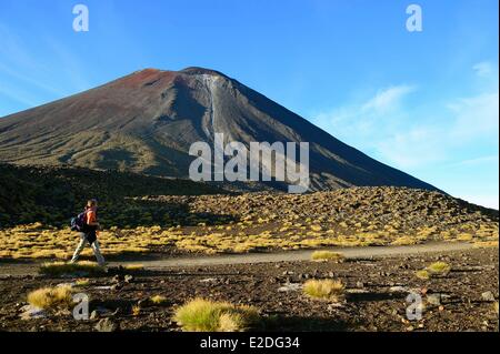 L'Île du Nord de Nouvelle-Zélande Parc National de Tongariro classé au Patrimoine Mondial par l'UNESCO Le Mont Ngauruhoe (2291m) sur le Tongariro Banque D'Images