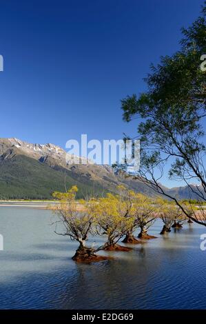 L'île du Sud Nouvelle-zélande Otago la région du lac Wakatipu à Glenorchy Banque D'Images