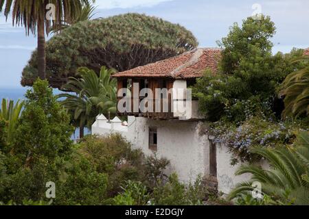 L'Espagne, Iles Canaries, Tenerife island, Icod de los Vinos, l'arbre Dragon Banque D'Images
