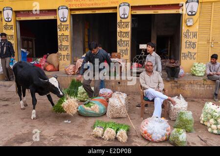 L'Inde, Rajasthan, Shekhawati, Nawalgarh, marché Banque D'Images