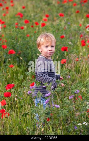 La France, Gard, Aigues Vives, garçon dans un champ de coquelicots Banque D'Images