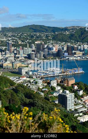 Nouvelle Zélande île du Nord Wellington Oriental Bay vue depuis le sommet du Mont Victoria (196m) Banque D'Images