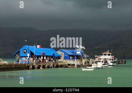 L'île du Sud Nouvelle-zélande Akaroa et la région est un village situé dans la péninsule de Banks fondée en 1840 par un groupe de Banque D'Images