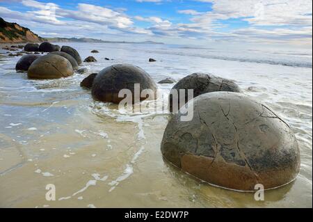La Nouvelle-Zélande île du sud de la région de l'Otago Moeraki Boulders rochers sphériques situées le long d'un tronçon de la Koekohe plage entre Banque D'Images