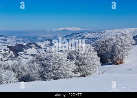 Photo Cantal vallée Impradine chemin Serre massif du Sancy en arrière-plan Parc Naturel Régional des Volcans d'Auvergne (Auvergne