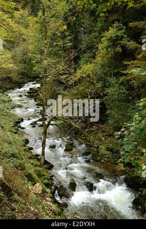 France Jura Pont de la Chaux gorges de la lemme d'un affluent de la rivière d'Ain Banque D'Images