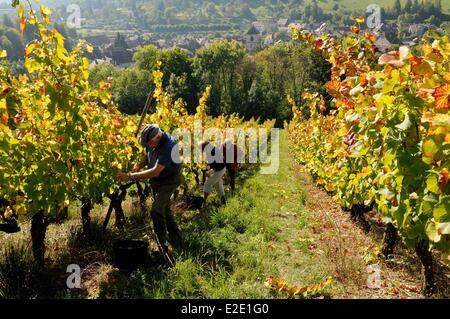 France Doubs Vuillafans vendanges, surplombant le village et l'église Banque D'Images