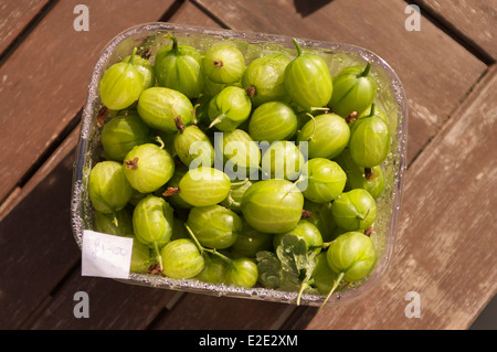 Un frais de Punnett groseilles sur une table en bois au soleil, avec un autocollant disant une livre sur le coin. Banque D'Images