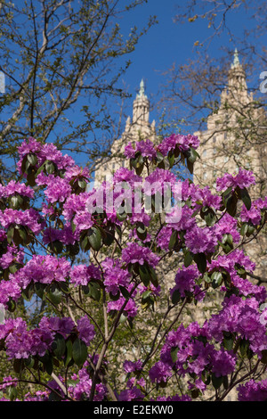 San Remo, Central Park West Side Apartments, NYC Banque D'Images