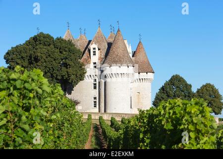 France, dordogne, Périgord Pourpre, Monbazillac, le château et les vignes Banque D'Images
