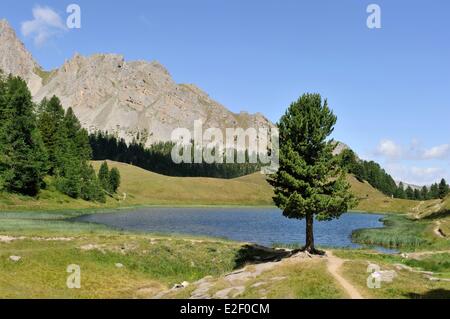 France, Hautes Alpes, près de Ceillac, le Lac Miroir (2214 m), parc naturel régional du Queyras Banque D'Images