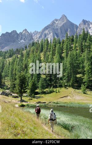 France, Hautes Alpes, près de Ceillac, le Lac Miroir (2214 m), parc naturel régional du Queyras Banque D'Images