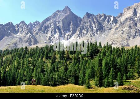 France, Hautes Alpes, près de Ceillac, le Lac Miroir (2214 m), parc naturel régional du Queyras Banque D'Images