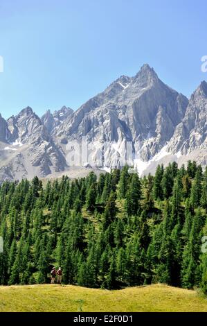 France, Hautes Alpes, près de Ceillac, le Lac Miroir (2214 m), parc naturel régional du Queyras Banque D'Images